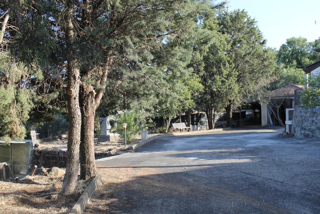 Holiday home Casa Etna *
