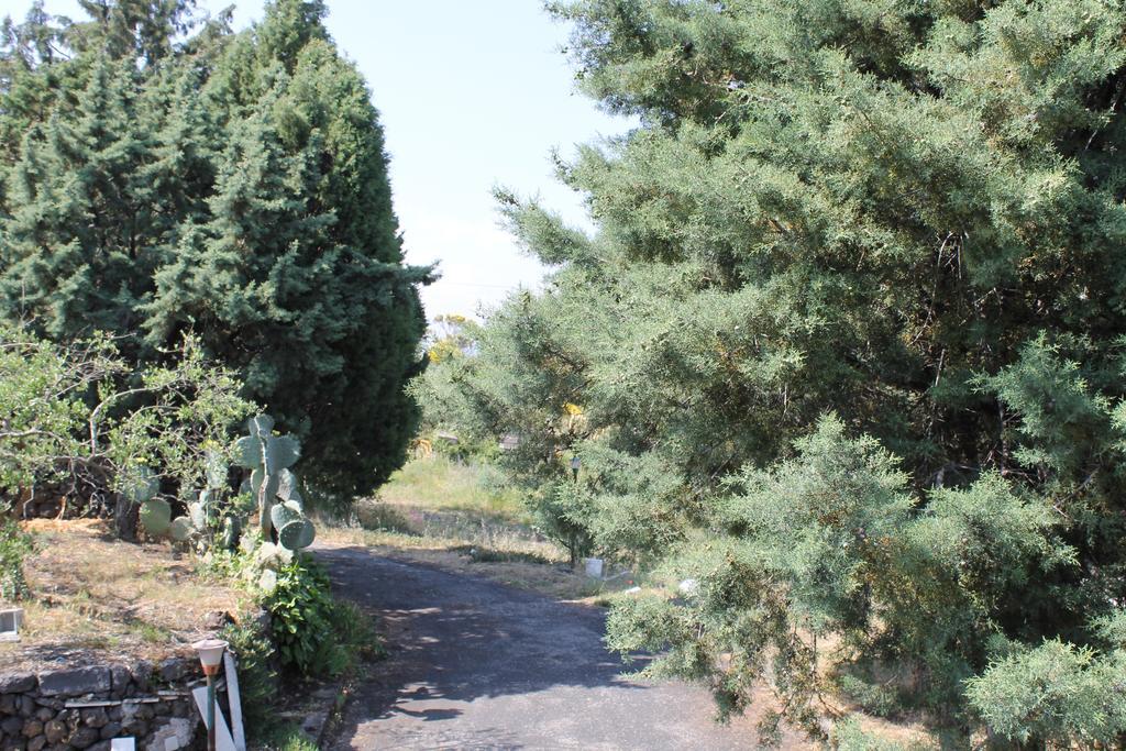 Casa Etna Holiday home
